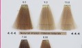 RR Line  9.0 bardzo jasny blond real color chart naturalne 8 9 10 oraz 700 i 800.jpg