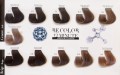 Be hair BE COLOR paleta 2z5 popielate i szare kolory farby do włosów bez amoniaku z kawiorem keratyną i collagenem Dystrybutor Poznań CLEANICO.jpg
