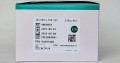BBraun-Sterican-21G-08x120mm-ref-4665643-single-use-hypodermic-needle-sterylna-jałowa-jednorazowa-igla-iniekcyjna-hurtownia-cleanico-Poznan-5-lat-termin.jpg