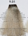 9.01 rr line bardzo jasny blond naturalnie popielaty włoska profesjonalna farba do włosów dostępna stacjonarnie Poznań sprzedaż detaliczna porady na miejscu www-cleani-co  .jpg