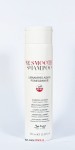 Be hair BE SMOOTH Szampon do włosów niesfornych i puszących się  300ml