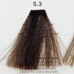  5.3 jasny złoty brąz krem koloryzujący farba do włosów RR Line 100ml