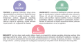 joanna-pehology-opis-katalogowy-proteiny-humektanty-emolientyw-linii-do wlosow-porowatych-poznan-cleanico.png