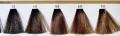 3.0-7.0 natura rr real color farby paleta farby w słoncu cleanico poznan.jpg