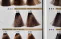 6.00 ciemny blond naturalny intensywny farba do wlosow rr line real color 100ml hurtownia poznan sprzedaz detaliczna cleanico kod kreskowy 8008277169132 sasiednie kolory na palecie w pelnym sloncu.jpg