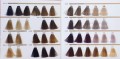 RR line real color chart  1 i 2 z 4 paleta natura intensywne ciepłe popielate intensywne ash fioletowe i złote real foto CLEANICO Poznan.jpg