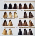 RR Line REAL Color CHART 1 paleta kolorów Hurtownia fryzjersko - kosmetyczna CLEANICO Poznań w słońcu.jpg