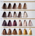 RR Line REAL Color CHART 2 paleta kolorów Hurtownia fryzjersko - kosmetyczna CLEANICO Poznań w słońcu.jpg