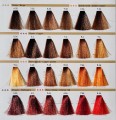 RR Line REAL Color CHART 3 paleta kolorów Hurtownia fryzjersko - kosmetyczna CLEANICO Poznań w słońcu.jpg