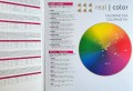 rr line real color  chart  paleta kolorów real color różowa kolorymetria i oznaczenia numerów farb dystrybutor Poznan sprzedaz detaliczna zaopatrzenie salonów fryzjerskich CLEANICO.jpg