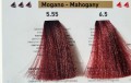 5.55 i 6.55 mahonie rr line real color.jpg