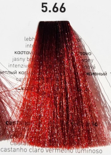 5.66 intensywnie czerwony braz kasztanowy rr line real color 8008277761916 w cieplym zachodzacym sloncu.jpg
