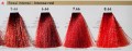 rr intensywne czerwienie .66 rr line real color paleta w zachodzacym sloncu.jpg