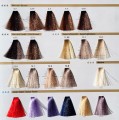 RR Line REAL Color CHART 4 paleta kolorów Hurtownia fryzjersko - kosmetyczna CLEANICO Poznań w słońcu.jpg