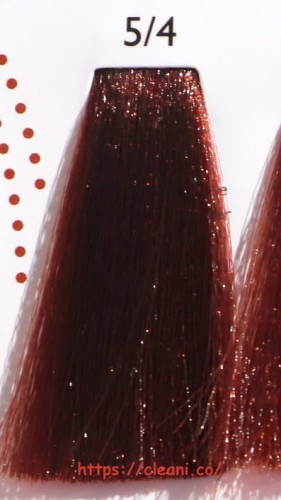 AlterEgo Techno fruit 5.4
www.cleani.co