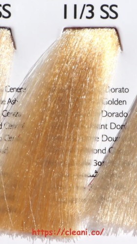 AlterEgo Techno fruit 11.3 SS
<a href="https://cleani.co/">https://cleani.co/</a>