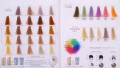 blondego paleta do blondow tonery bez amoniaku pastelowe rozjasniajace.jpg