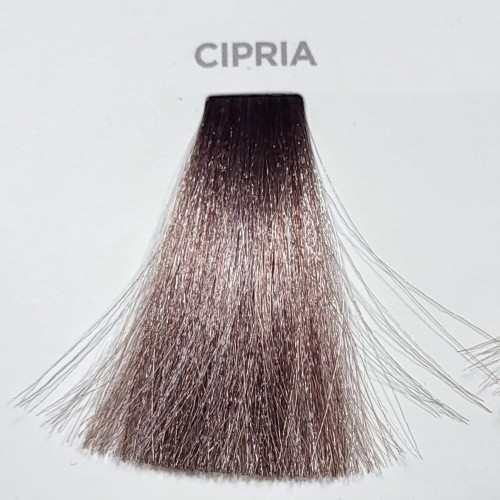 toner cipria blondego alterego 8008277041995.jpg