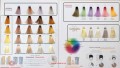 alterego blondego paleta Pure toner Pastel toner i Pure diamond lift fot www-cleani-co kod kreskowy 8008277321592.jpg