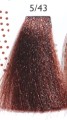 AlterEgo Techno fruit 5.43.JPG