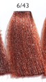 AlterEgo Techno fruit 6.43.JPG