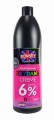 ronney-5060589154537-aktywator-oxydant-do-farb-do-wlosow-1000-ml-20-VOL--6-procent-kremowy-gesty-wydajny-real-fot-cleanico-poznan-2024-.jpg