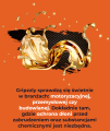 gripzzly serwis przemysl oleje kwasy zasady.png