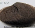 6.00  RR Line Racioppi.JPG